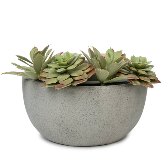 Succulent Bowl Fragrance & Wax Electric Warmer