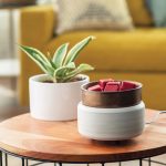 White Washed bronze 2-1 Wamer