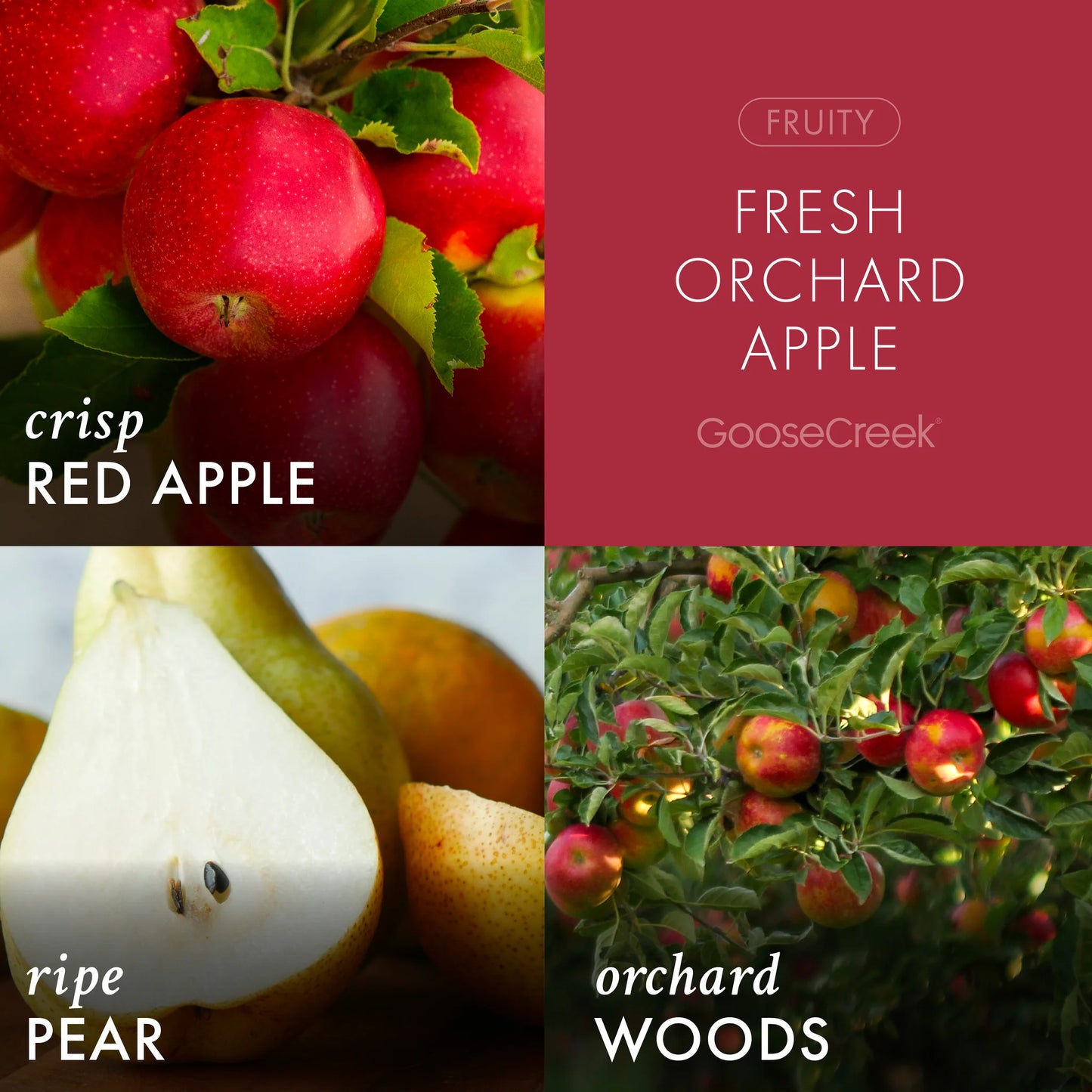 Fresh Orchard Apple 3 wick candle