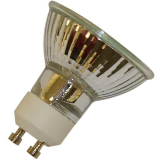 NP1 BULB