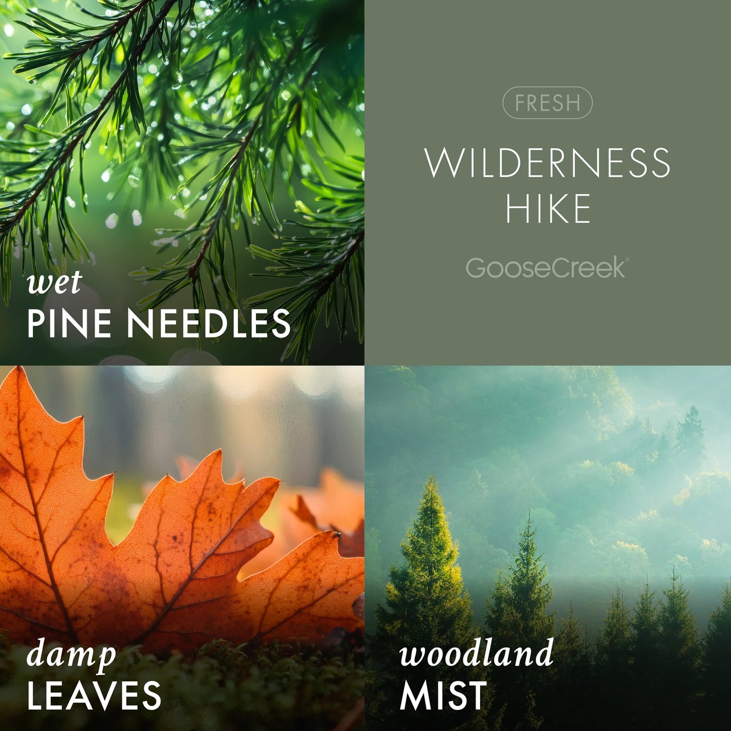 Wilderness Hike 3 wick candle