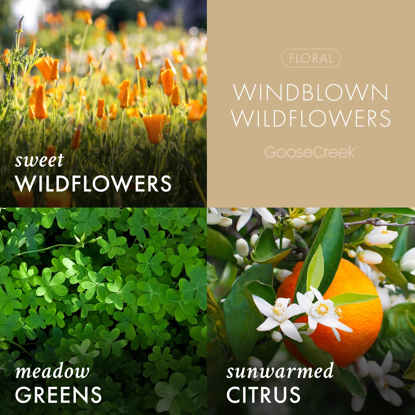 Wind Blown Wildflowers 3 wick candle