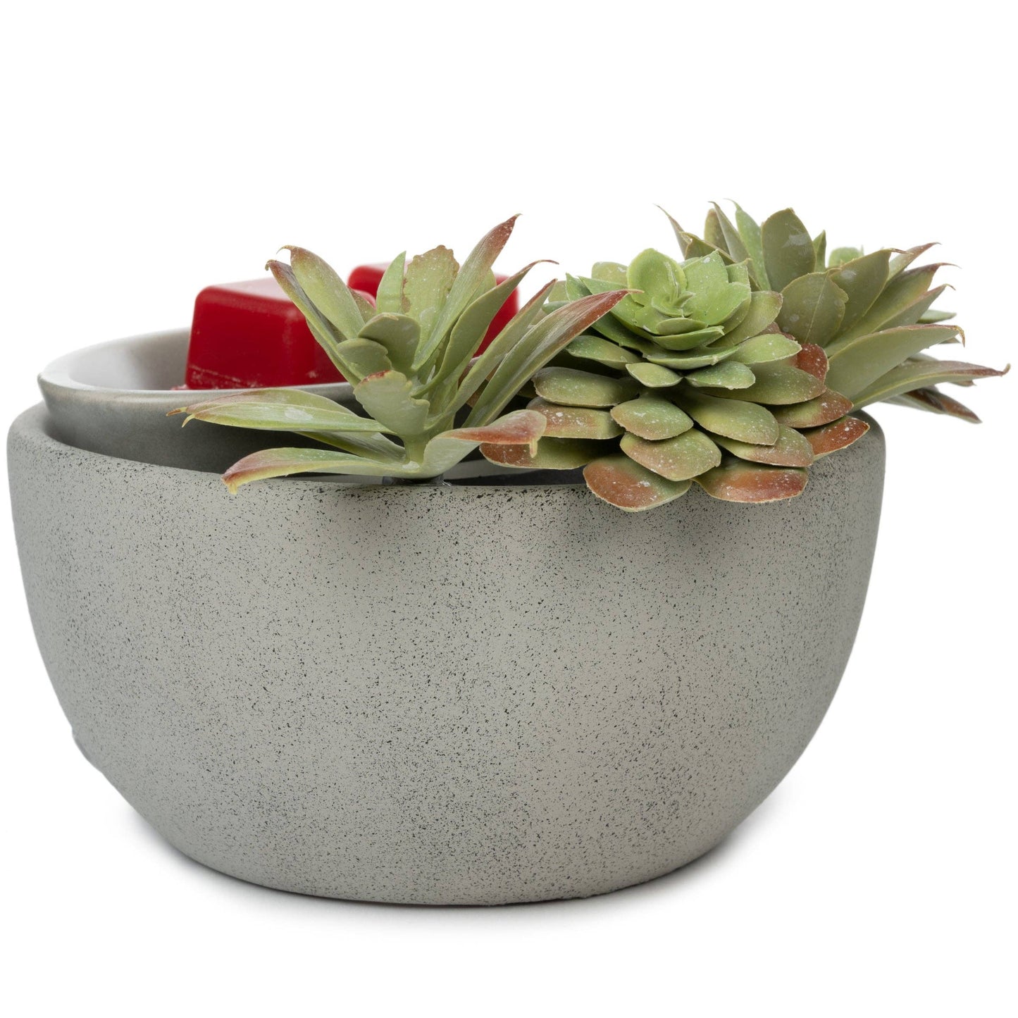 Succulent Bowl Fragrance & Wax Electric Warmer