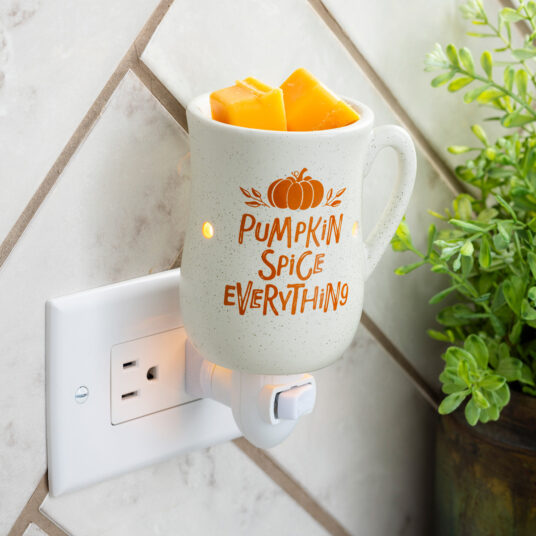PUMPKIN SPICE PLUGGABLE