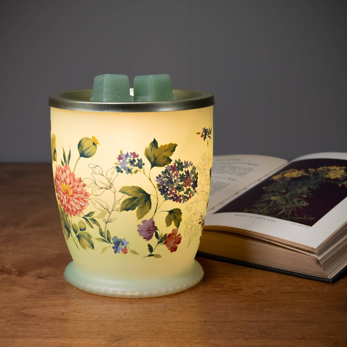 Flora Fragrance and Wax Warmer
