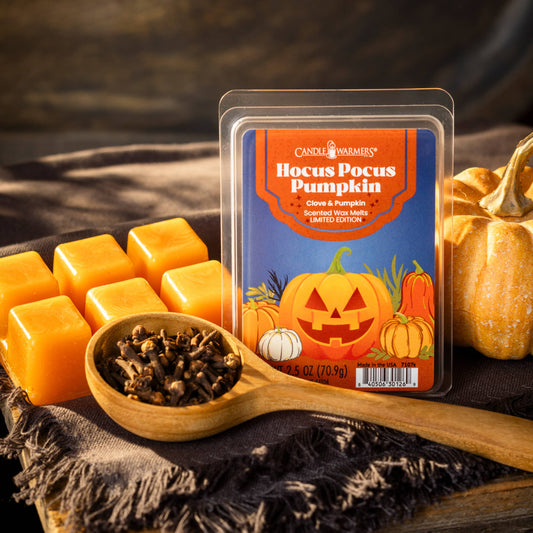 Hocus Pocus Pumpkin Limited Edition 2.5 oz Wax Melt