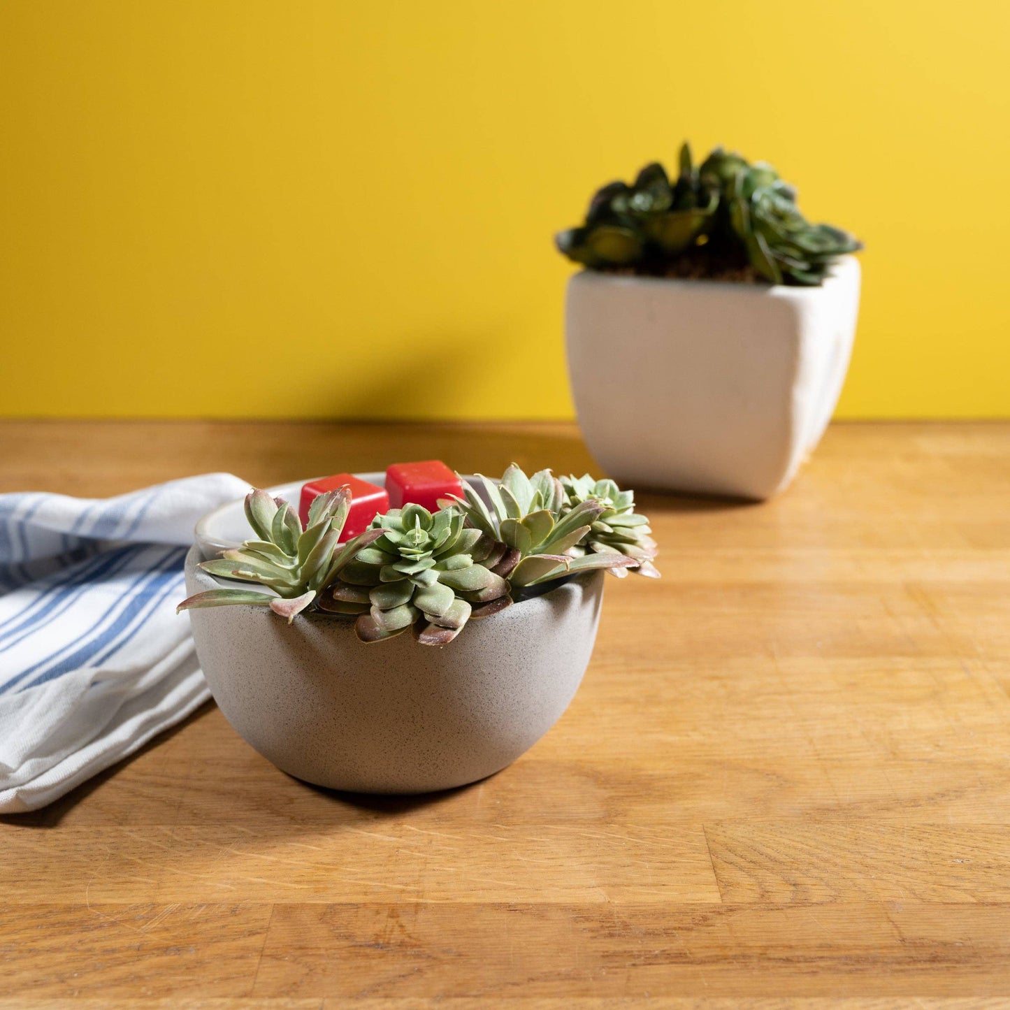Succulent Bowl Fragrance & Wax Electric Warmer