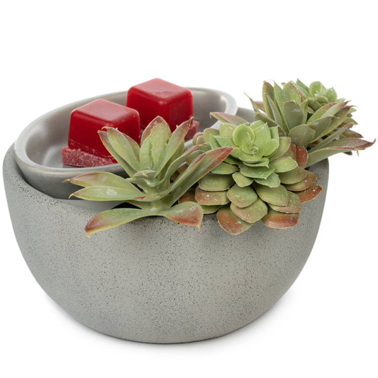 Succulent Bowl Fragrance & Wax Electric Warmer