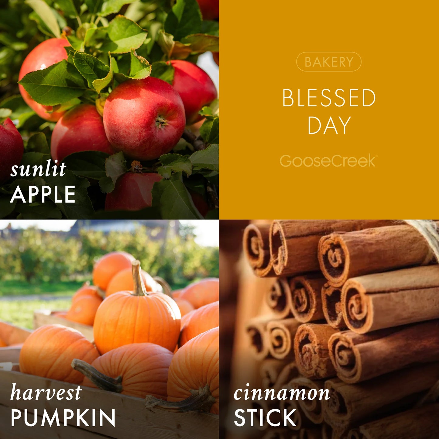 Blessed Day 3 wick candle