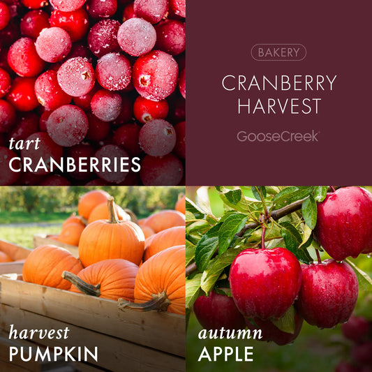 Cranberry Harvest 3 wick candle
