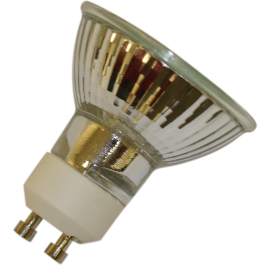 NP1 BULB
