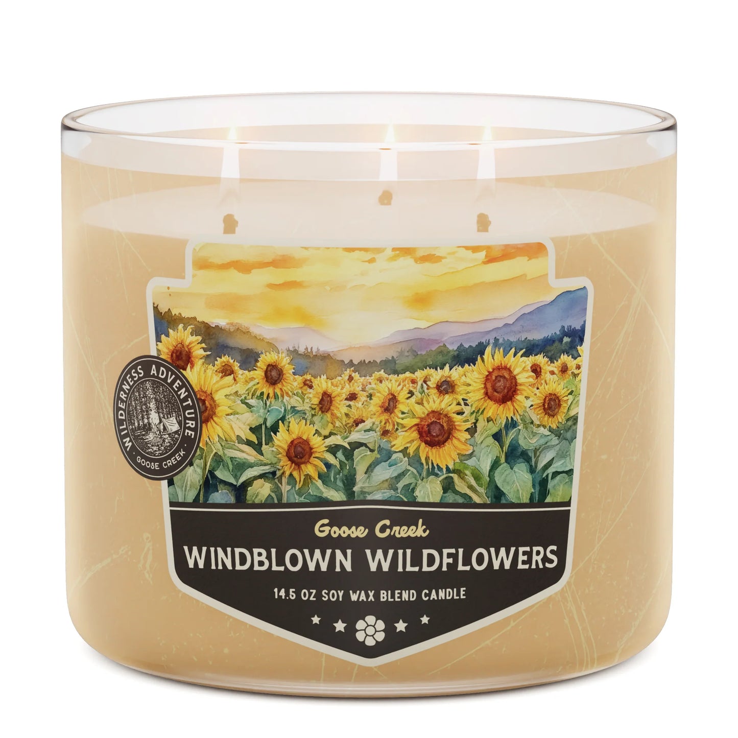 Wind Blown Wildflowers 3 wick candle